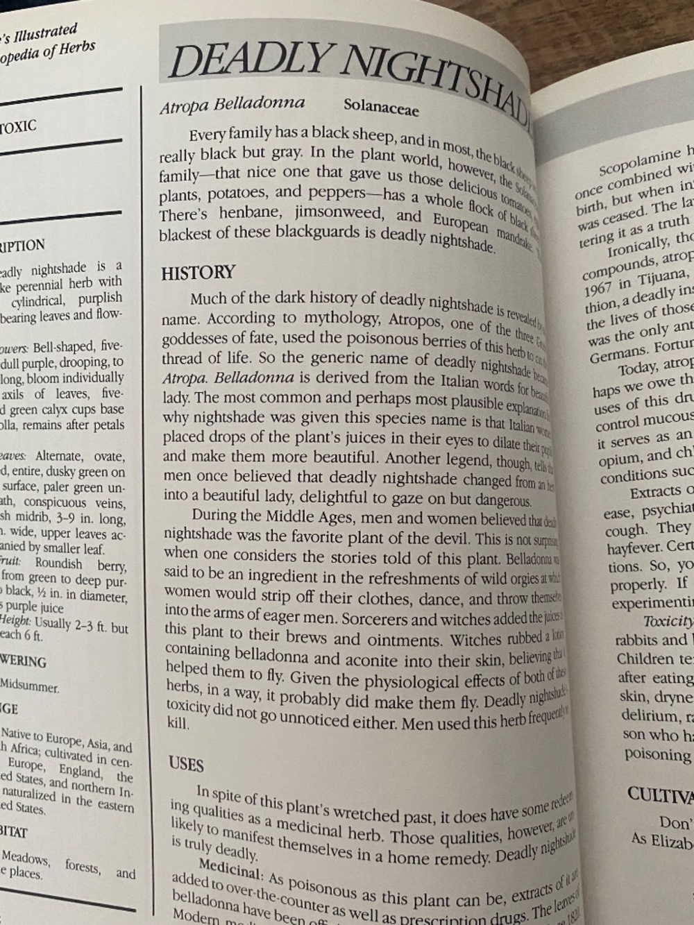 Rodale's Illustrated Encyclopedia of Herbs, Claire Kowalchik & William Hylton - Picture 8 of 14